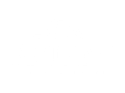 Aviem International